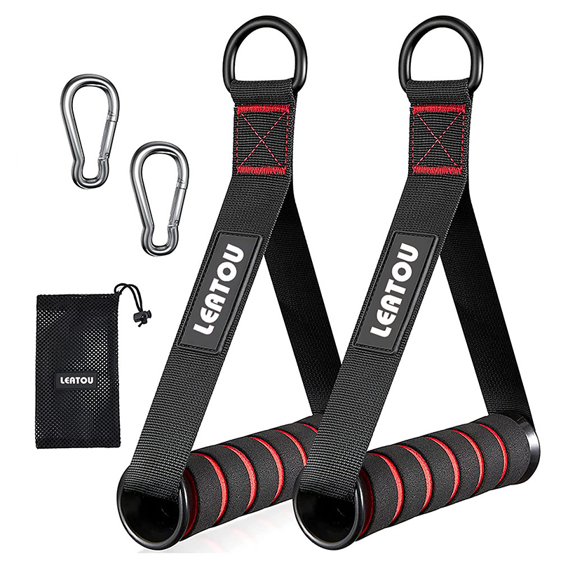 Heavy Duty D-Ring Metal Gym Ha - Pilates Yoga Resistance Ring avis et prix