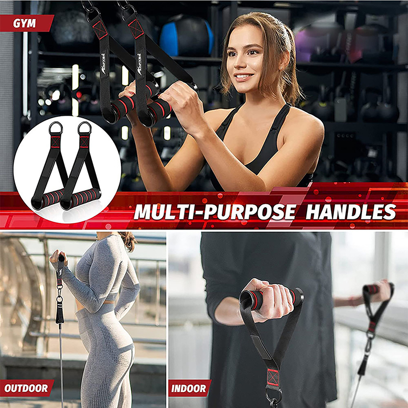 Heavy Duty D-Ring Metal Gym Ha - Pilates Yoga Resistance Ring avis et prix